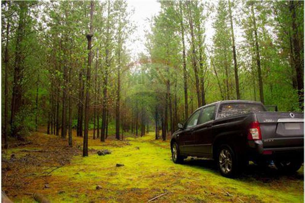 Picture of Other Commercial For Sale in Region Del Bio Bio, Bio Bio, Chile