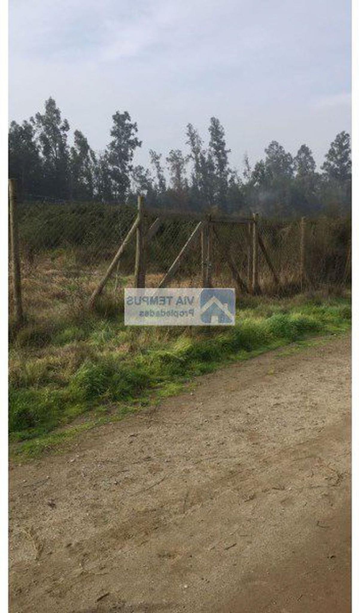 Picture of Residential Land For Sale in Talagante, Region Metropolitana
, Chile