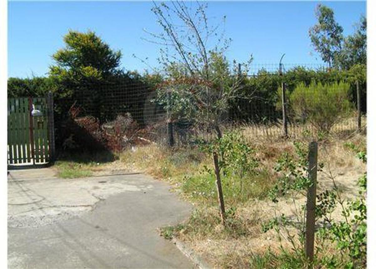 Picture of Other Commercial For Sale in Region Del Maule, Maule, Chile