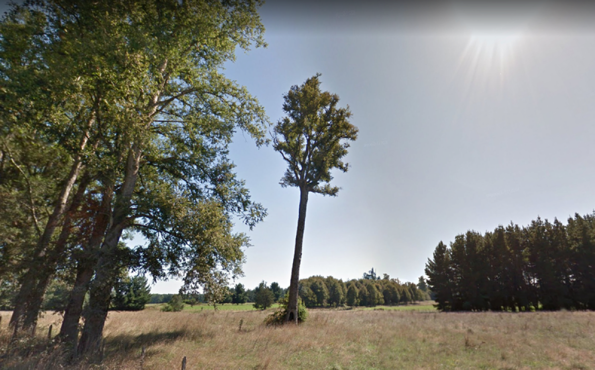 Picture of Residential Land For Sale in Region De Los Rios, Los Rios, Chile