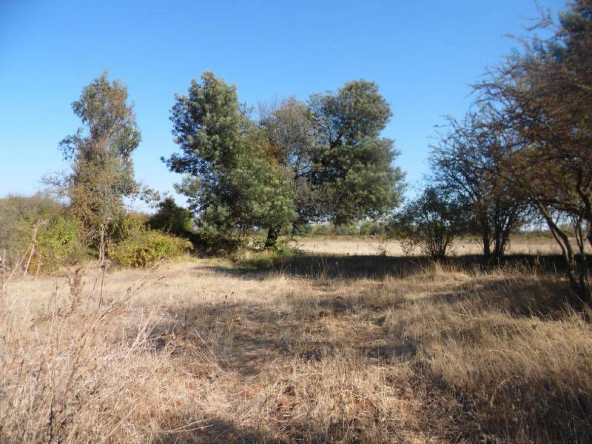 Picture of Residential Land For Sale in Region Del Maule, Maule, Chile