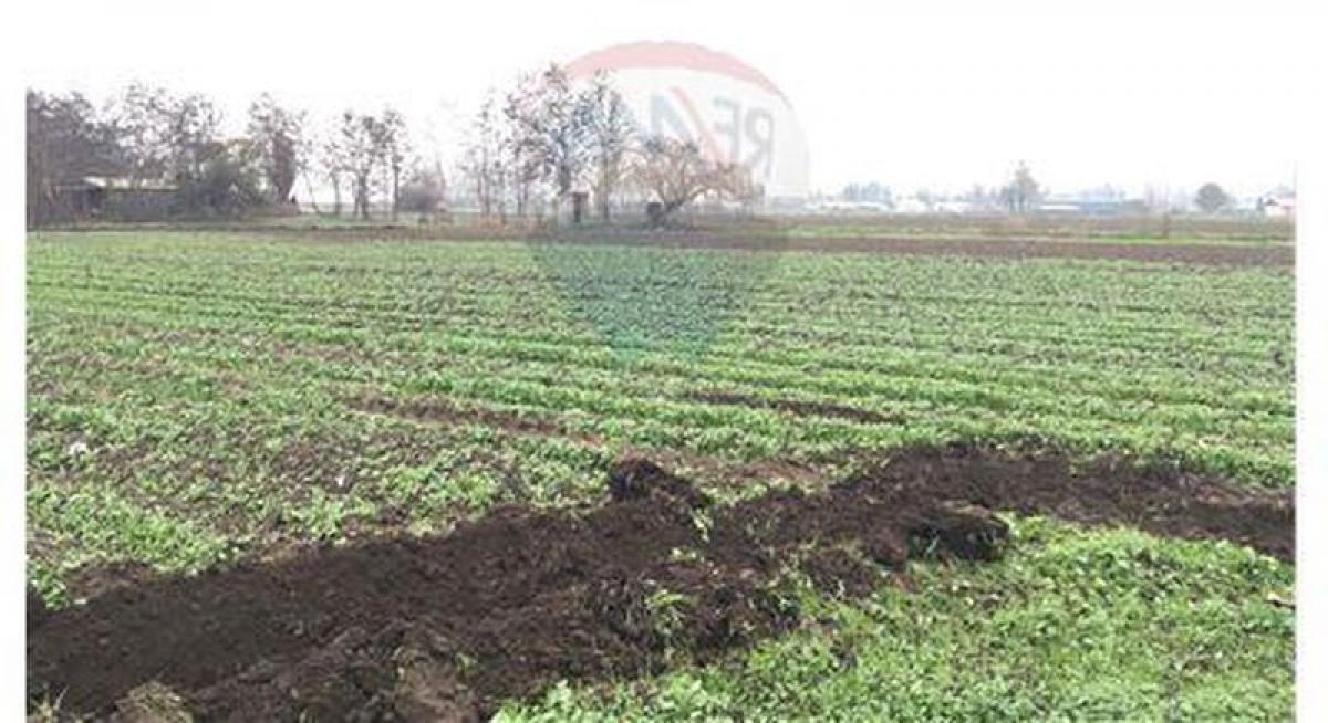 Picture of Residential Land For Sale in Chacabuco, Region Metropolitana
, Chile