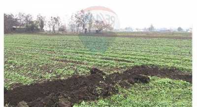 Residential Land For Sale in Chacabuco, Chile