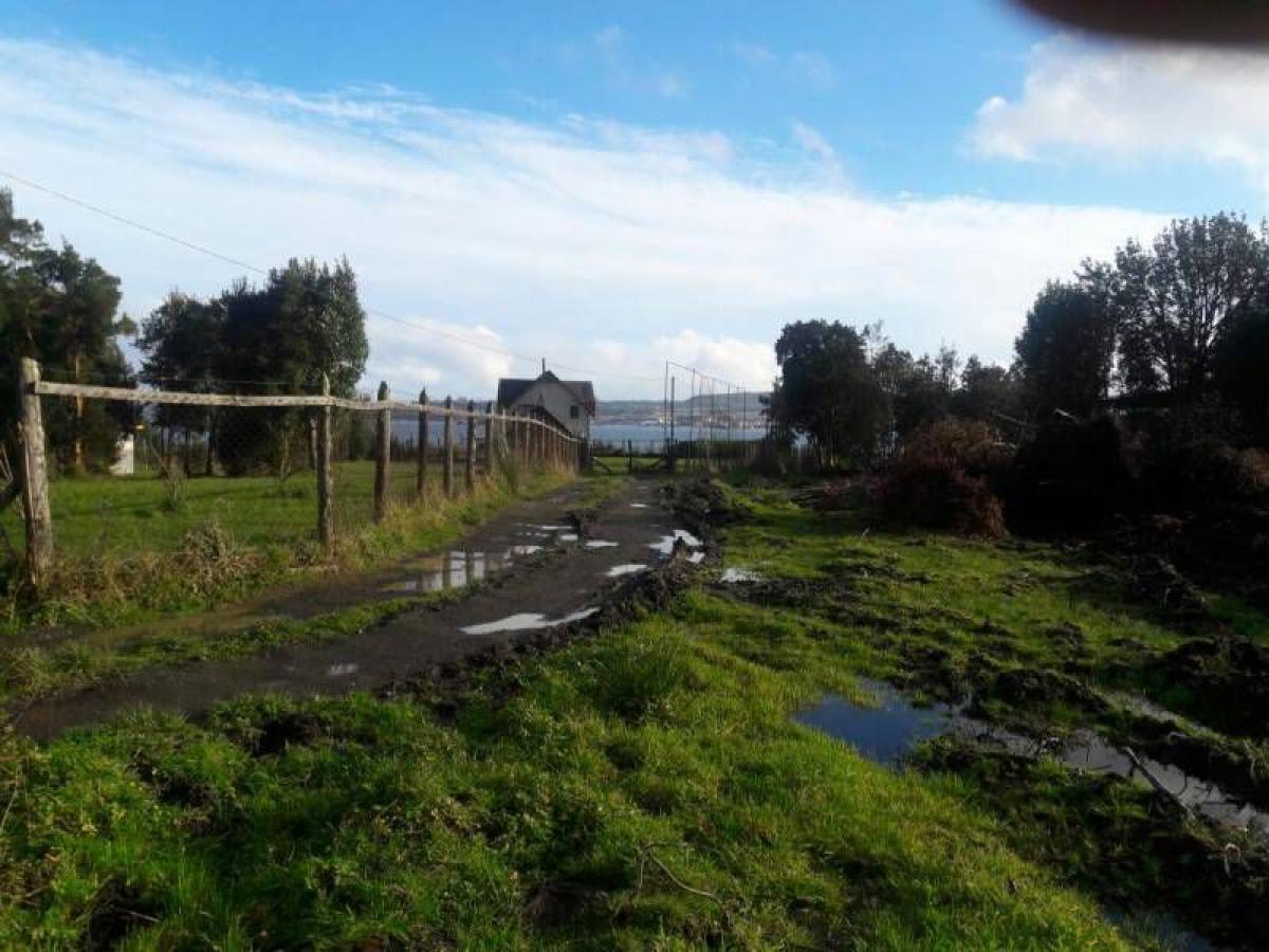 Picture of Condo For Sale in Region De Los Lagos, Los Lagos, Chile