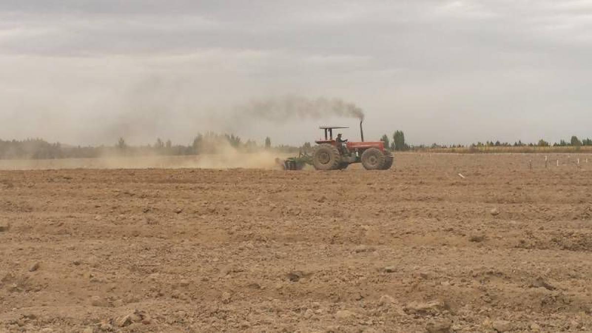 Picture of Condo For Sale in Region Del Maule, Maule, Chile