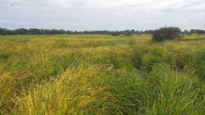 Residential Land For Sale in Region Del Maule, Chile