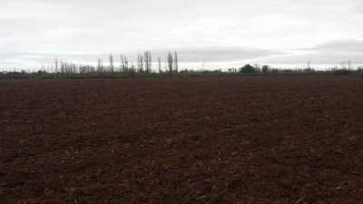 Residential Land For Sale in Region Del Maule, Chile