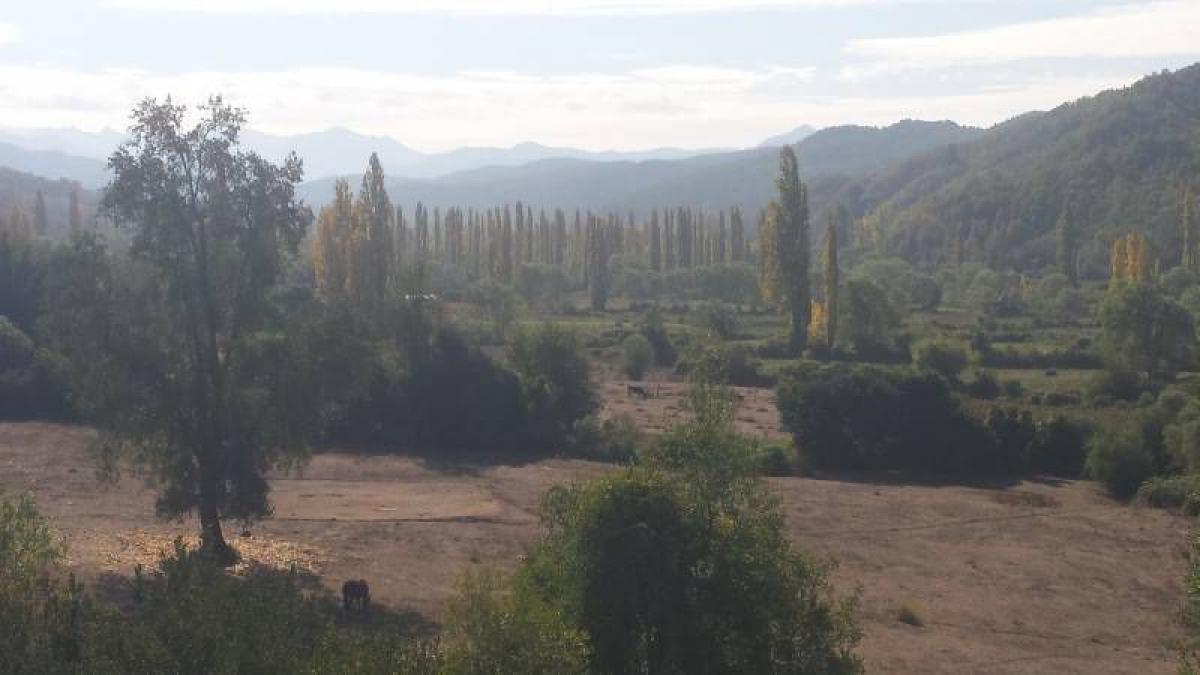 Picture of Condo For Sale in Region Del Maule, Maule, Chile