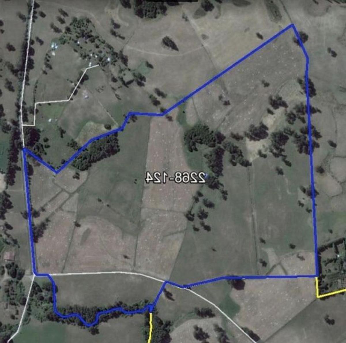 Picture of Residential Land For Sale in Region De Los Rios, Los Rios, Chile