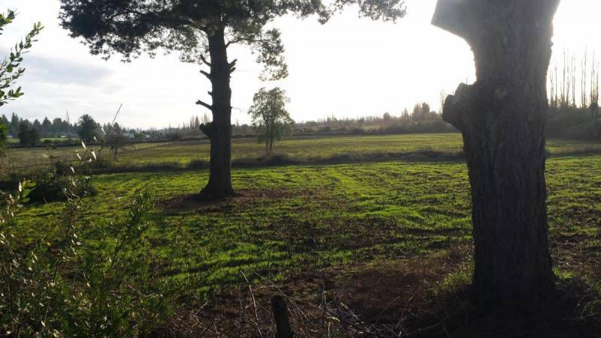 Linares, Region Del Maule, Maule, Chile Residential Land For Sale at