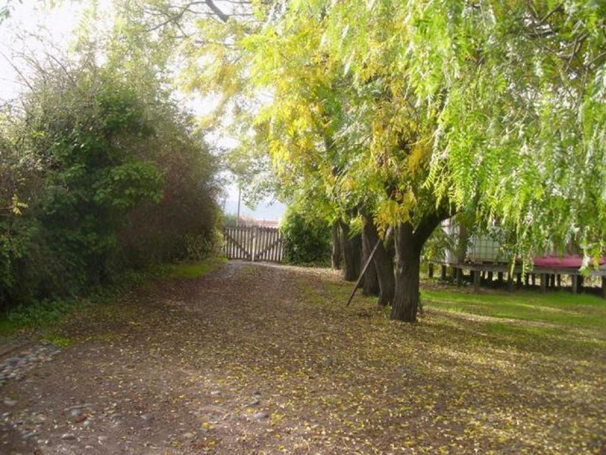 Picture of Other Commercial For Sale in Region Del Maule, Maule, Chile