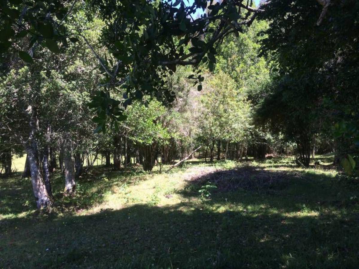 Picture of Condo For Sale in Region De Los Lagos, Los Lagos, Chile