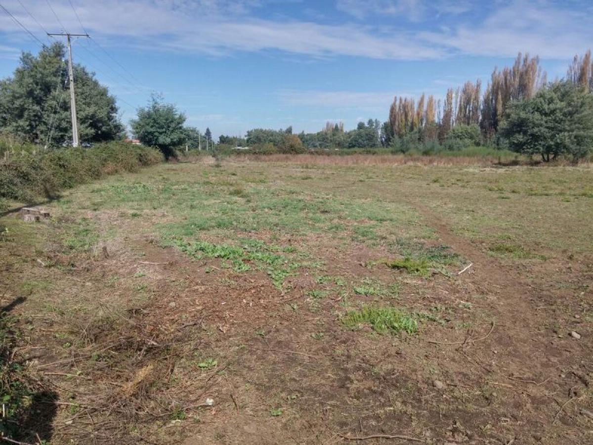 Picture of Residential Land For Sale in Region Del Bio Bio, Bio Bio, Chile
