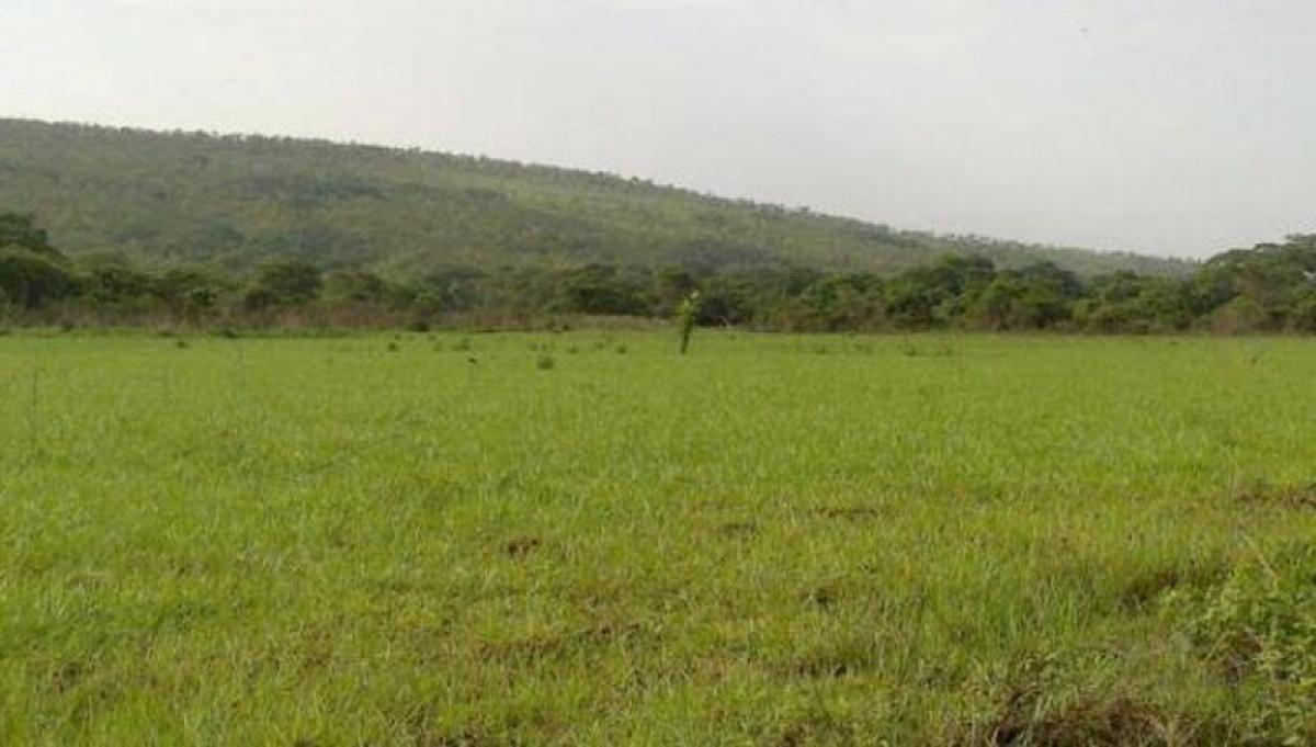 Picture of Residential Land For Sale in Region Del Maule, Maule, Chile