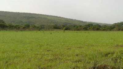 Residential Land For Sale in Region Del Maule, Chile