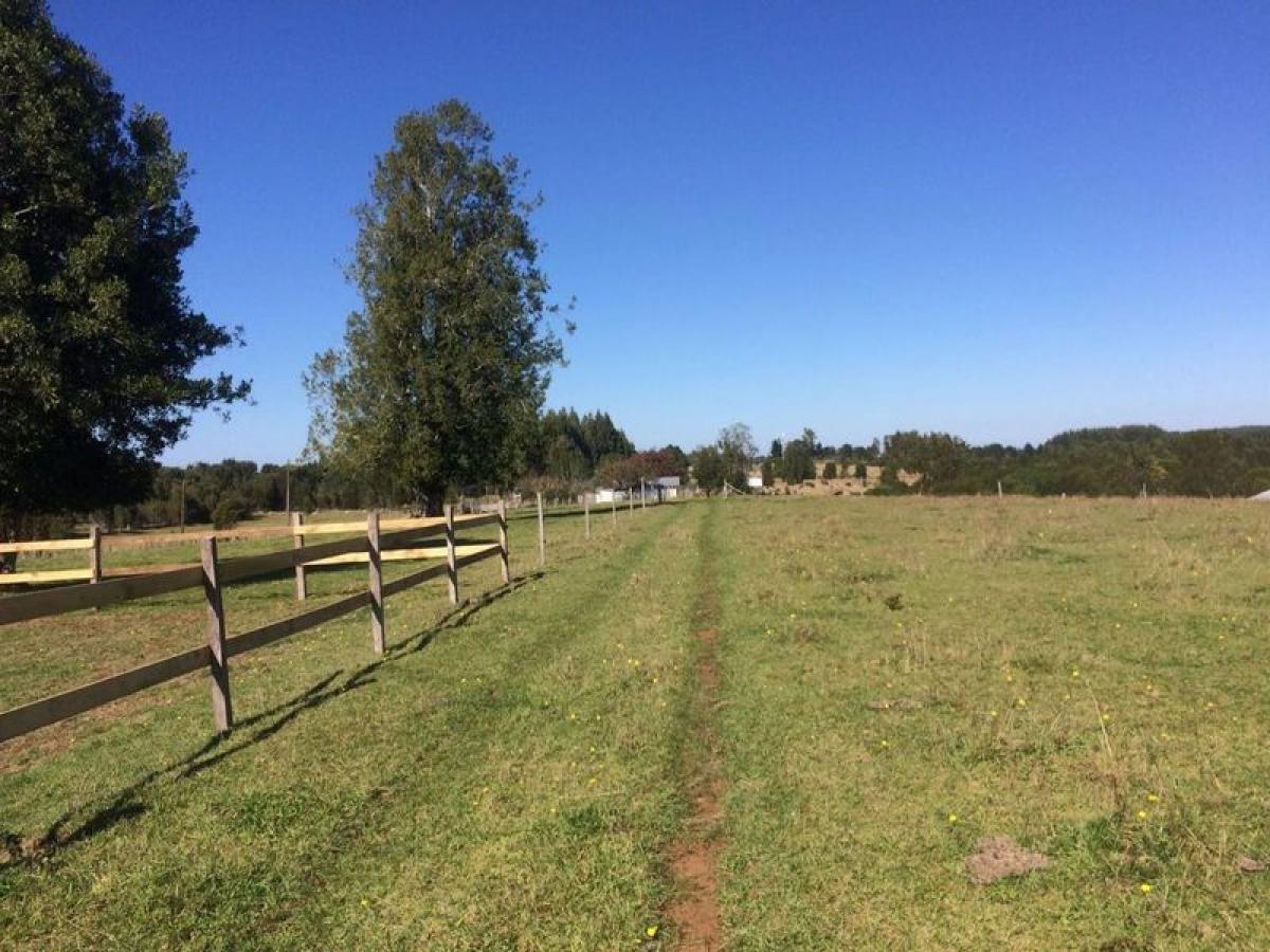 Picture of Residential Land For Sale in Region De Los Rios, Los Rios, Chile