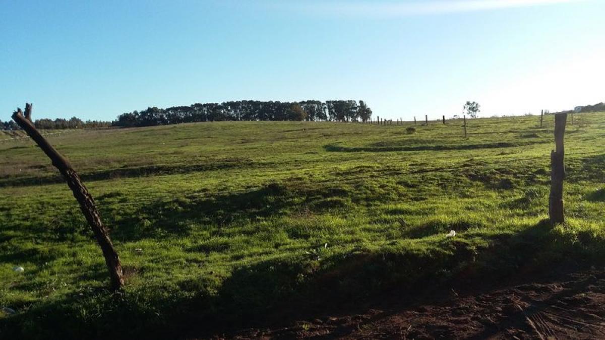 Picture of Residential Land For Sale in Region De Valparaiso, Valparaiso, Chile