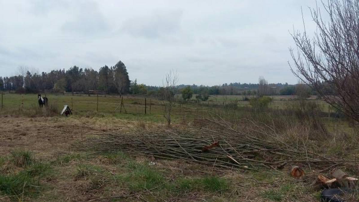 Picture of Residential Land For Sale in Region Del Maule, Maule, Chile