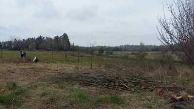 Residential Land For Sale in Region Del Maule, Chile