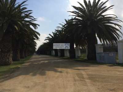 Residential Land For Sale in Talagante, Chile