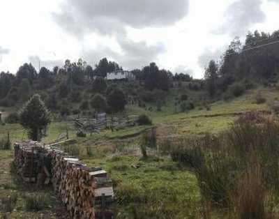 Residential Land For Sale in Region De Los Lagos, Chile