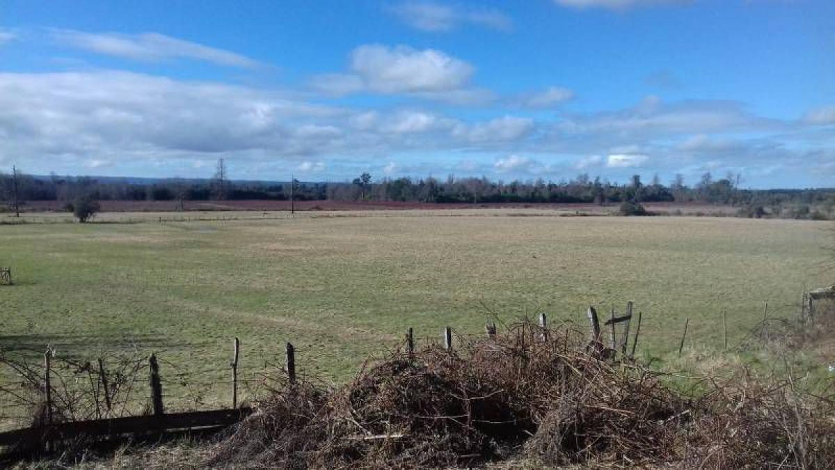 Picture of Condo For Sale in Region De Los Lagos, Los Lagos, Chile