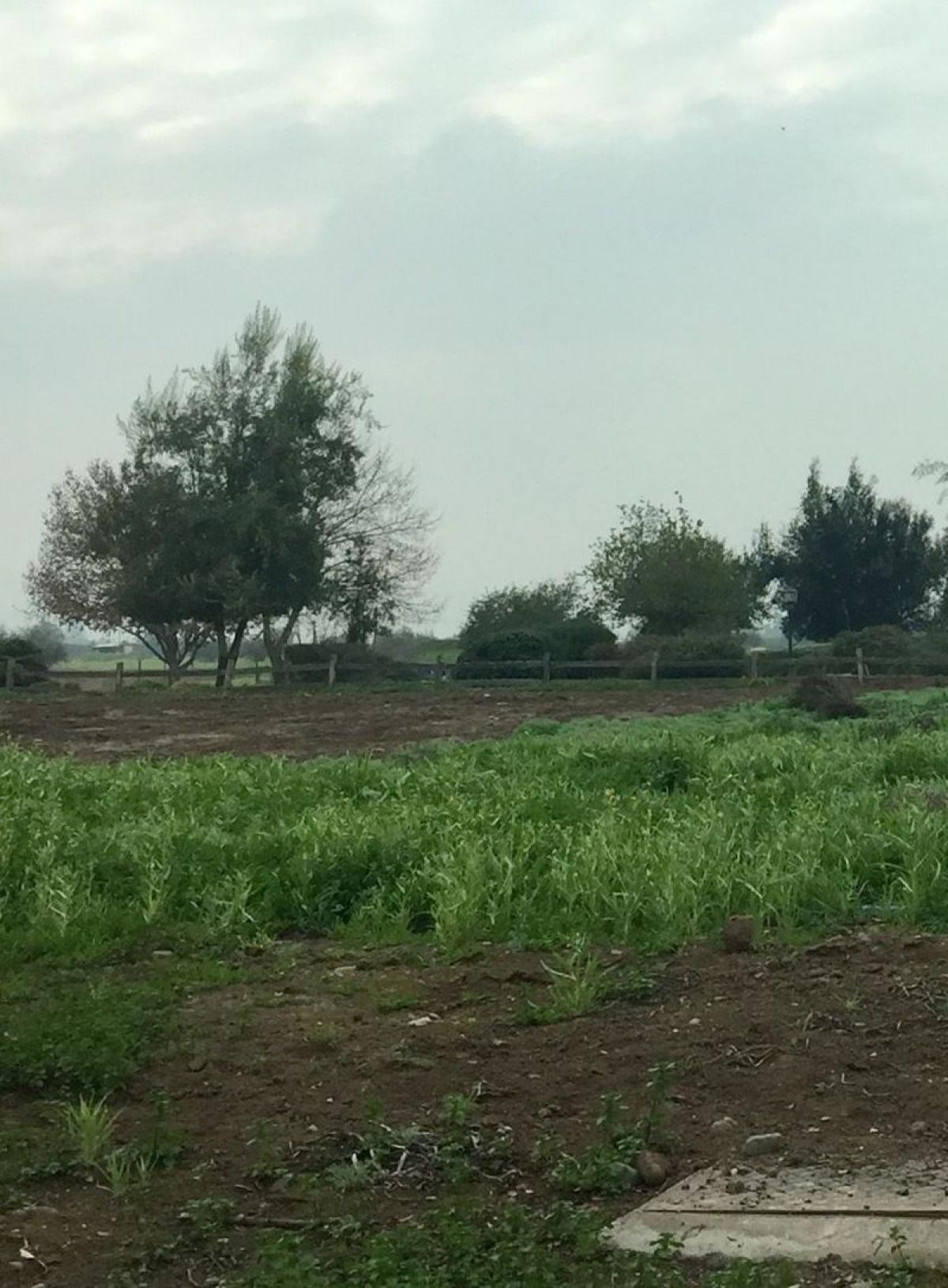 Picture of Residential Land For Sale in Chacabuco, Region Metropolitana
, Chile