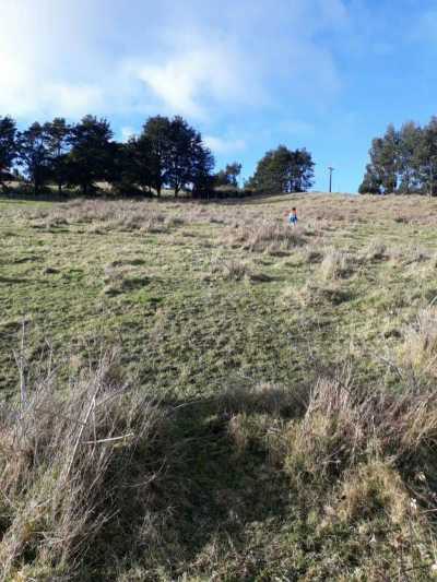 Condo For Sale in Region De Los Lagos, Chile