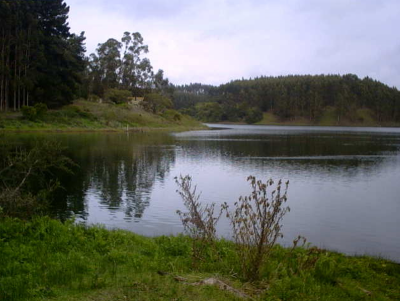 Residential Land For Sale in Region De Valparaiso, Chile