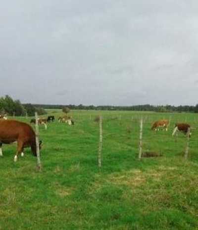 Residential Land For Sale in Region De Los Lagos, Chile