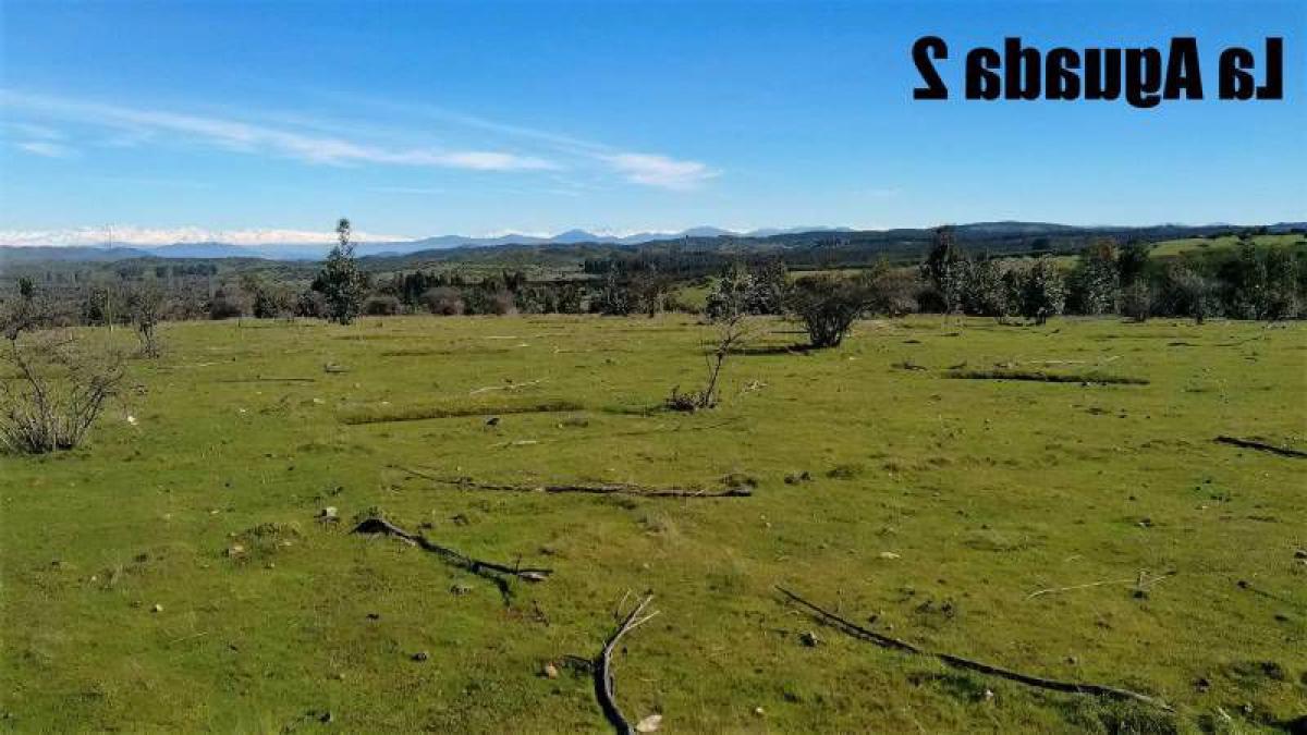 Picture of Condo For Sale in Region De O'Higgins, O'Higgins, Chile