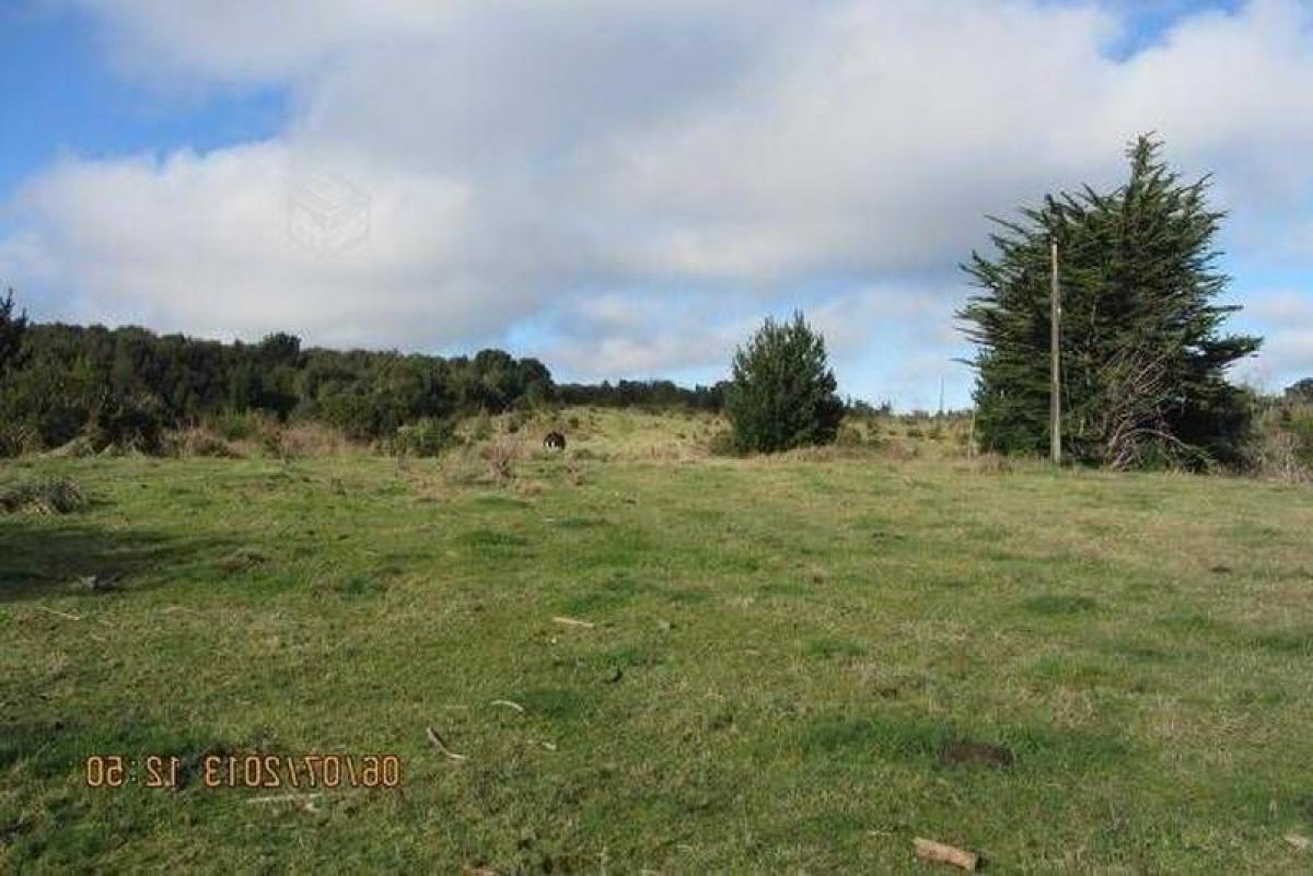 Picture of Residential Land For Sale in Region De Los Lagos, Los Lagos, Chile