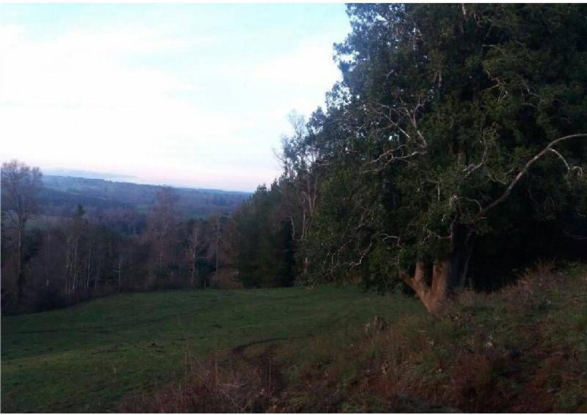 Picture of Condo For Sale in Region De Los Lagos, Los Lagos, Chile