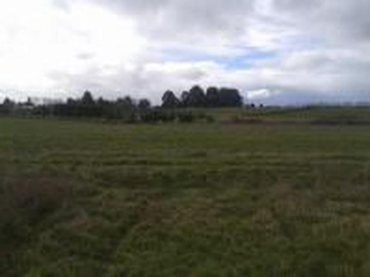 Picture of Residential Land For Sale in Region De Los Rios, Los Rios, Chile