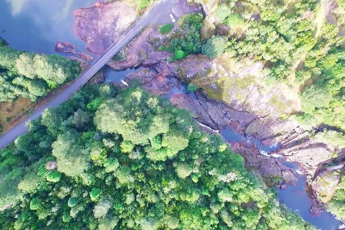 Picture of Condo For Sale in Region De Los Lagos, Los Lagos, Chile