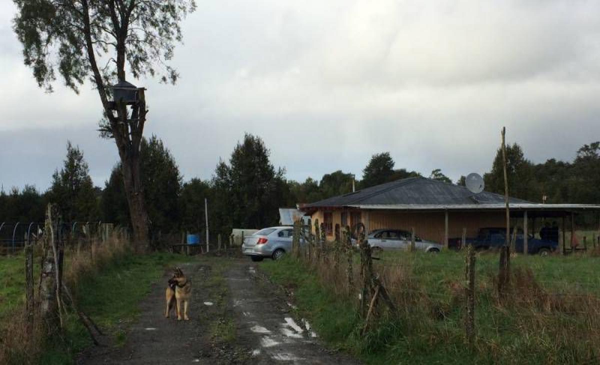 Picture of Residential Land For Sale in Region De Los Lagos, Los Lagos, Chile