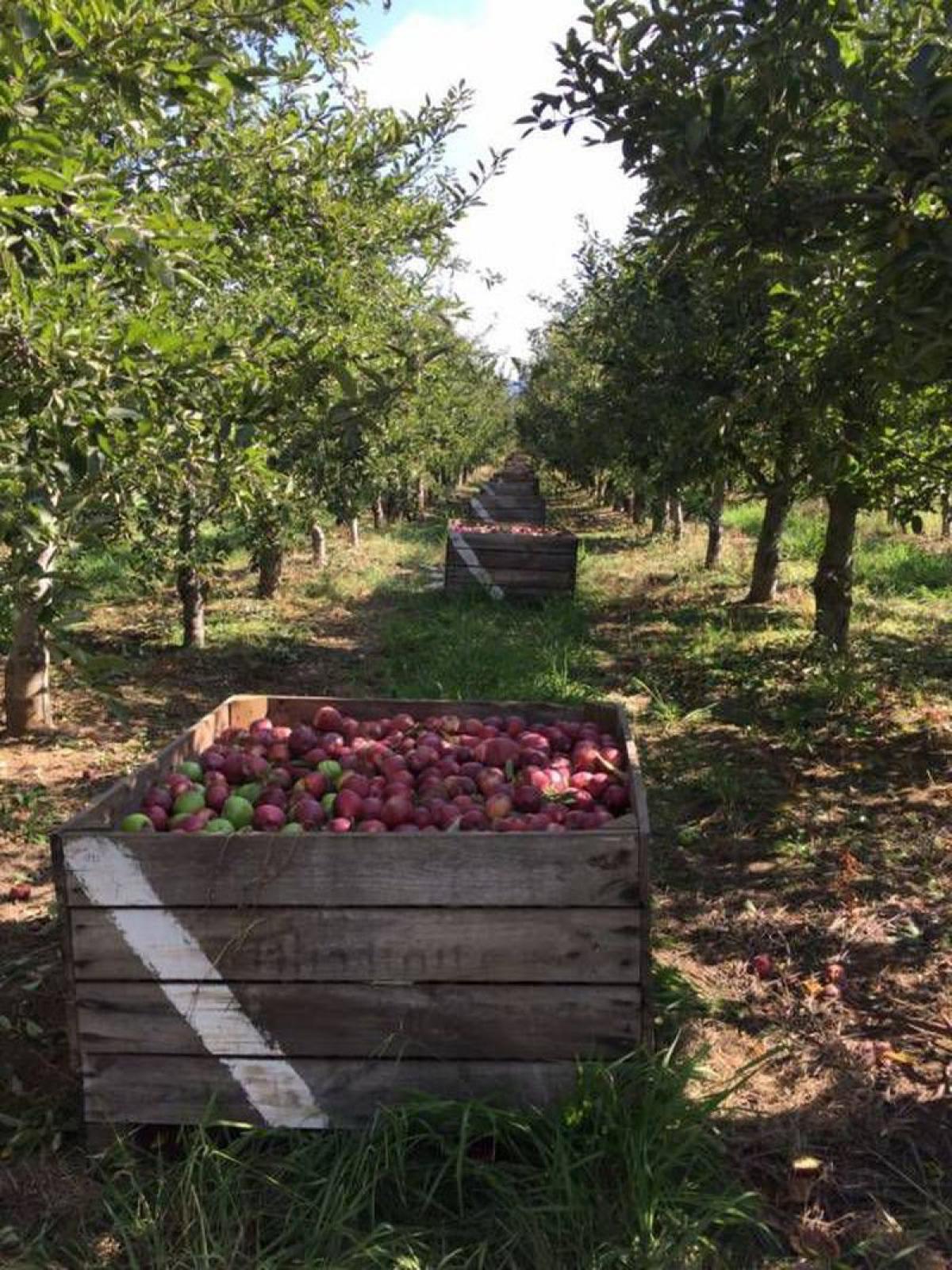 Picture of Condo For Sale in Region Del Maule, Maule, Chile