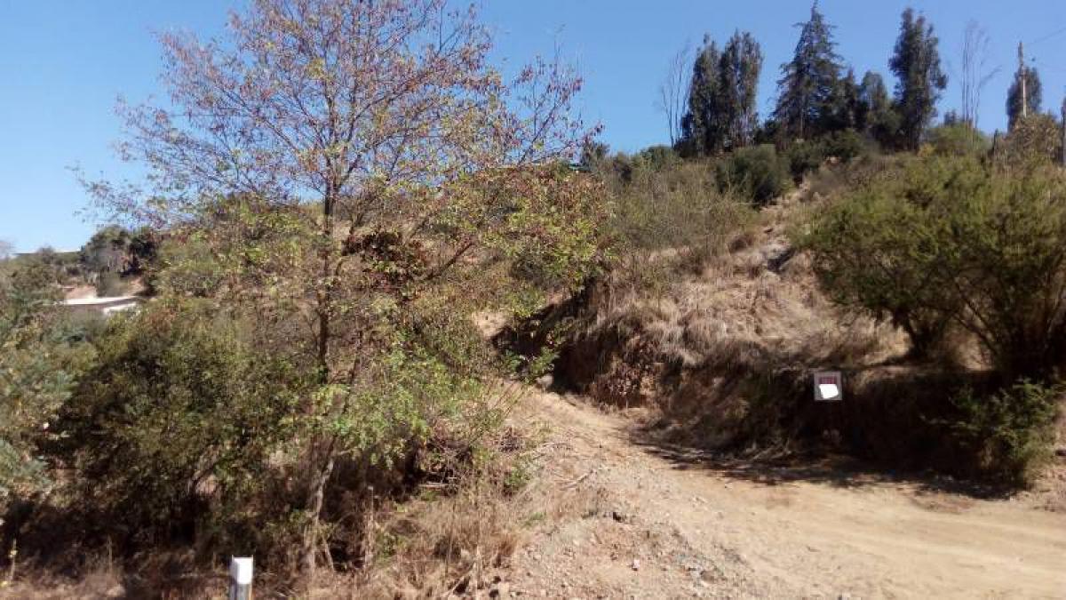 Picture of Condo For Sale in Region De Valparaiso, Valparaiso, Chile