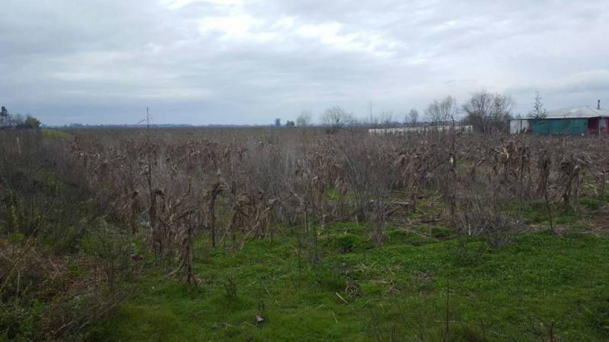 Talca, Region Del Maule, Maule, Chile Residential Land For Sale at