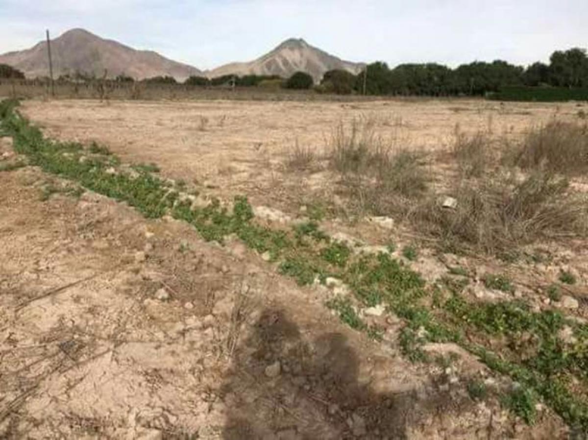 Picture of Residential Land For Sale in Region De Atacama, Atacama, Chile