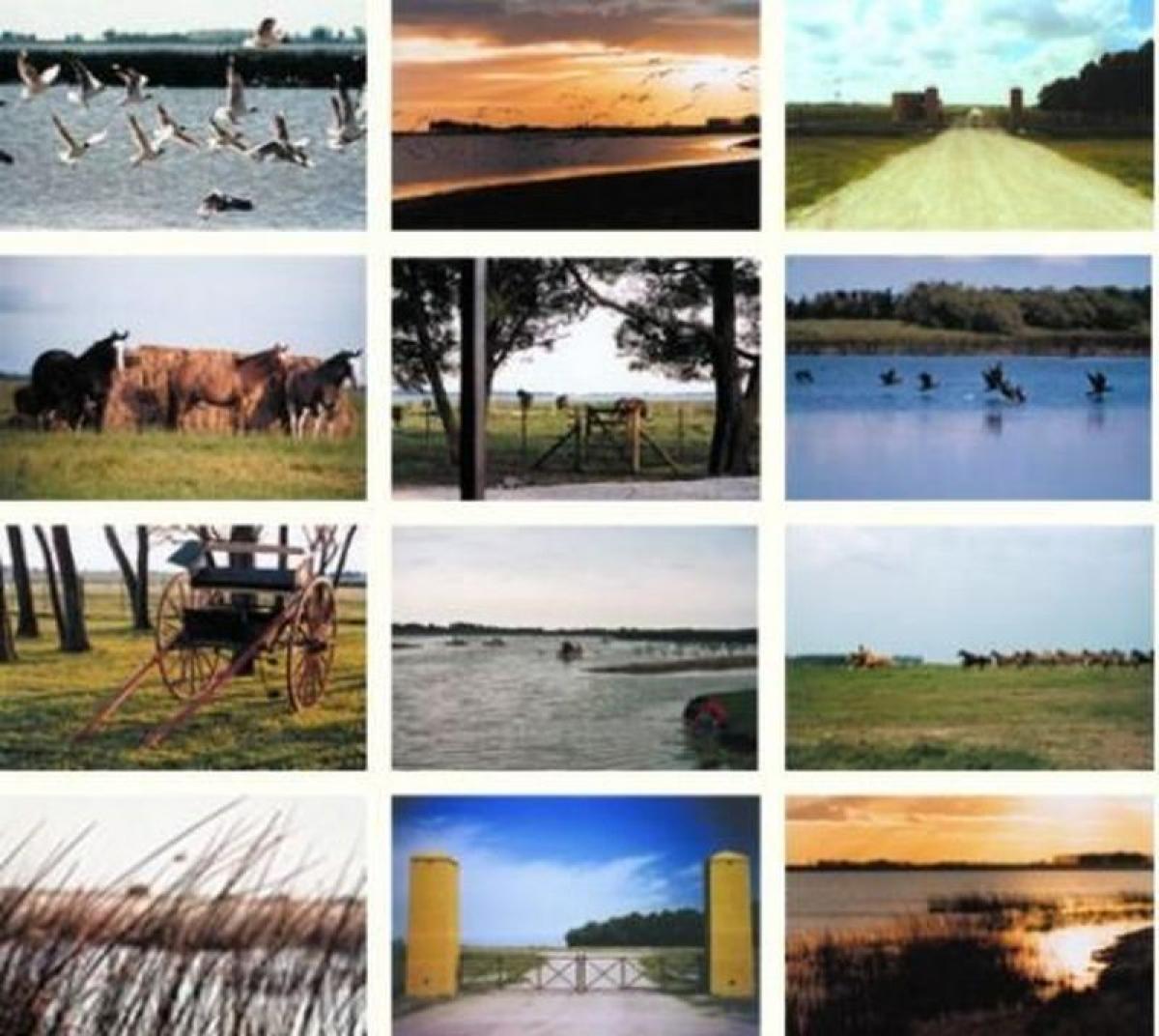 Picture of Farm For Sale in Buenos Aires Interior, Buenos Aires, Argentina