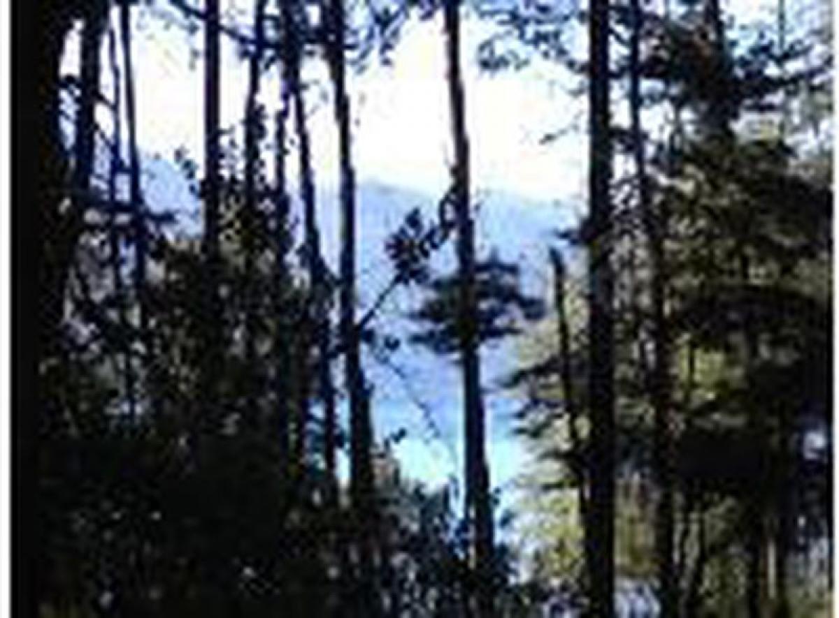 Picture of Residential Land For Sale in Neuquen, Neuquen, Argentina