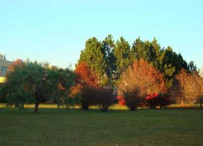 Residential Land For Sale in Campana, Argentina