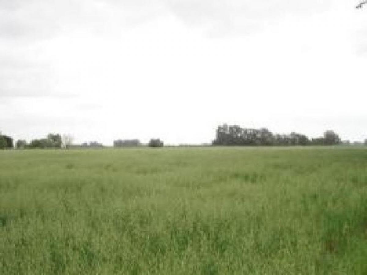 Picture of Farm For Sale in Capital Federal, Distrito Federal, Argentina