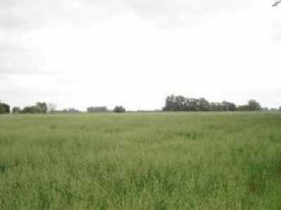 Farm For Sale in Capital Federal, Argentina