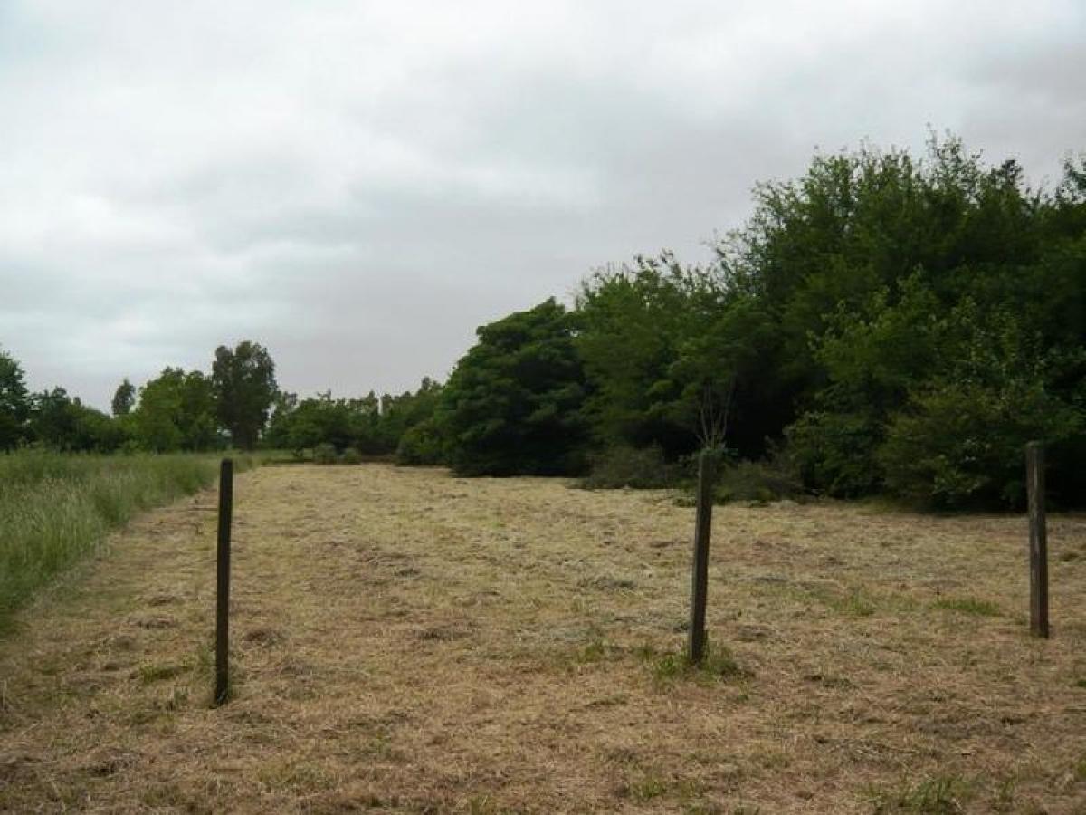 Picture of Residential Land For Sale in Esteban Echeverria, Buenos Aires, Argentina