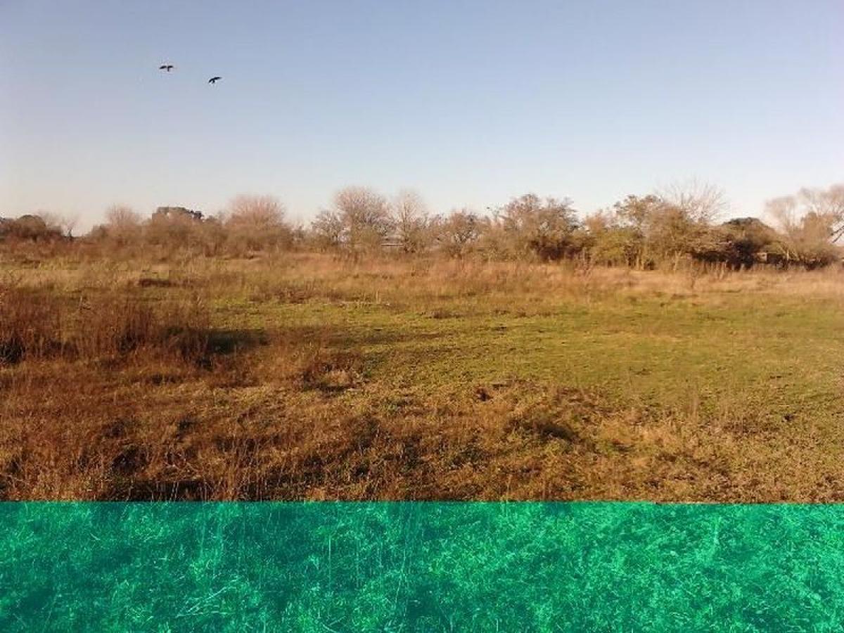 Picture of Residential Land For Sale in Florencio Varela, Buenos Aires, Argentina