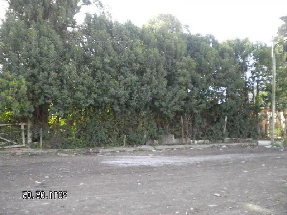 Picture of Residential Land For Sale in Berazategui, Buenos Aires, Argentina
