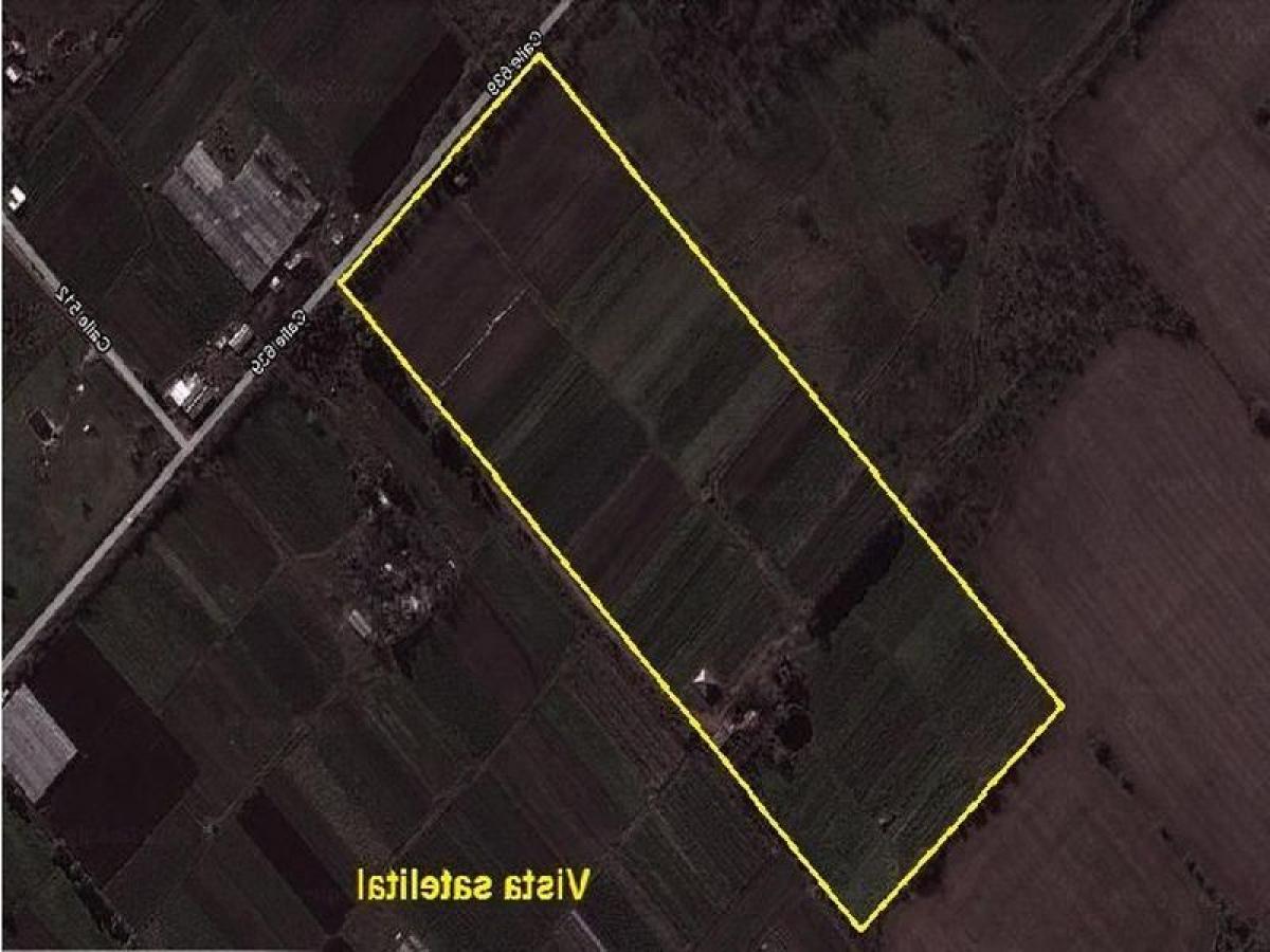 Picture of Farm For Sale in Bs.As. G.B.A. Zona Sur, Buenos Aires, Argentina