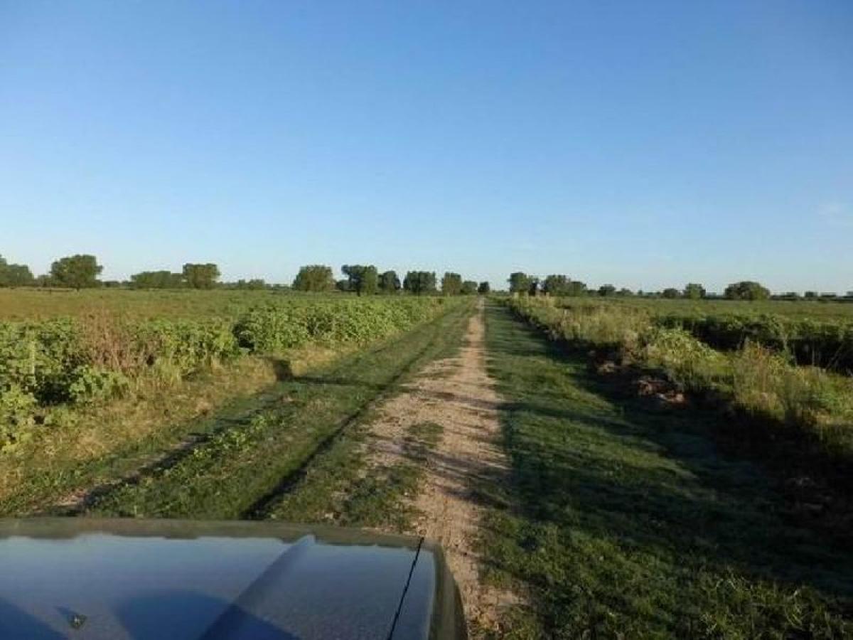 Picture of Farm For Sale in Entre Rios, Entre Rios, Argentina